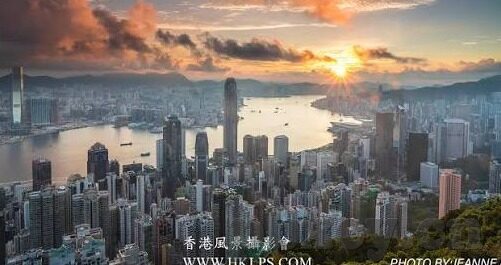 麻豆视频在线免费看-全能视频观看的新选择，麻豆视频在线免费看